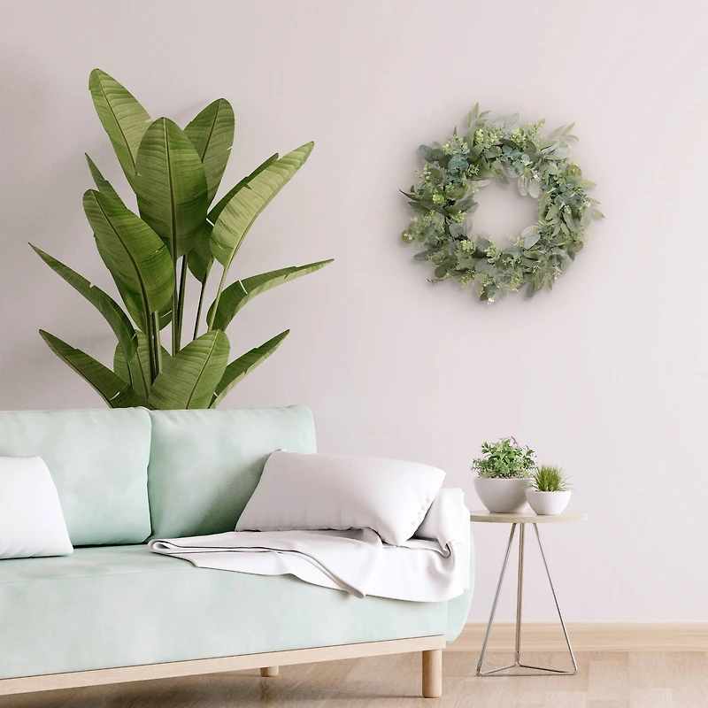 24" Spring Eucalyptus & Creeping Jenny Wreath