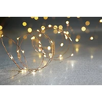 40ct. Warm White Copper Wire LED String Lights by Ashland®