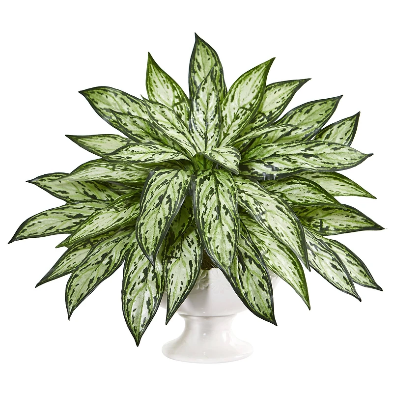 18" Silver Queen in White Pedestal