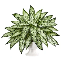 18" Silver Queen in White Pedestal