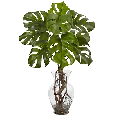 2ft. Monstera Plant in Glass Vase