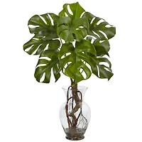 2ft. Monstera Plant in Glass Vase