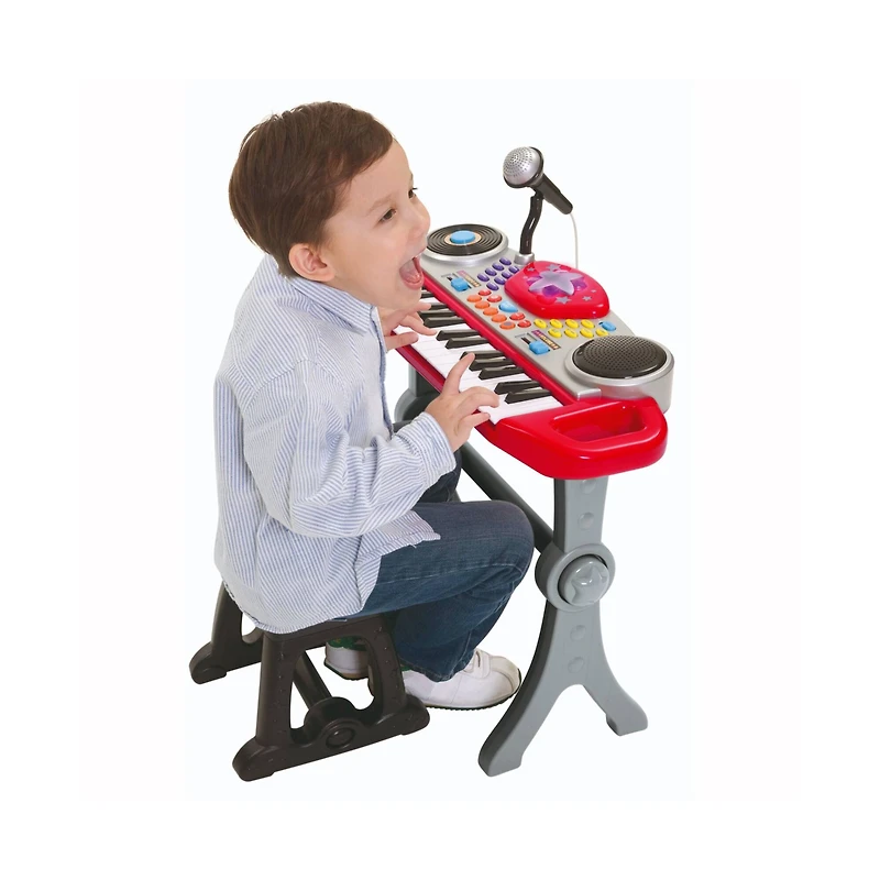 Enviro-Mental Toy Ripping Rocking Rolling Keys