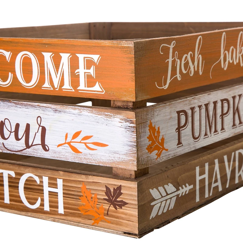 Glitzhome® Wooden Pumpkin Crate Set