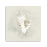 Soft Sand and Shell I Canvas Giclee
