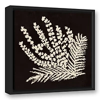 Coal Botanical 16" x 16" Black Floating Framed Canvas