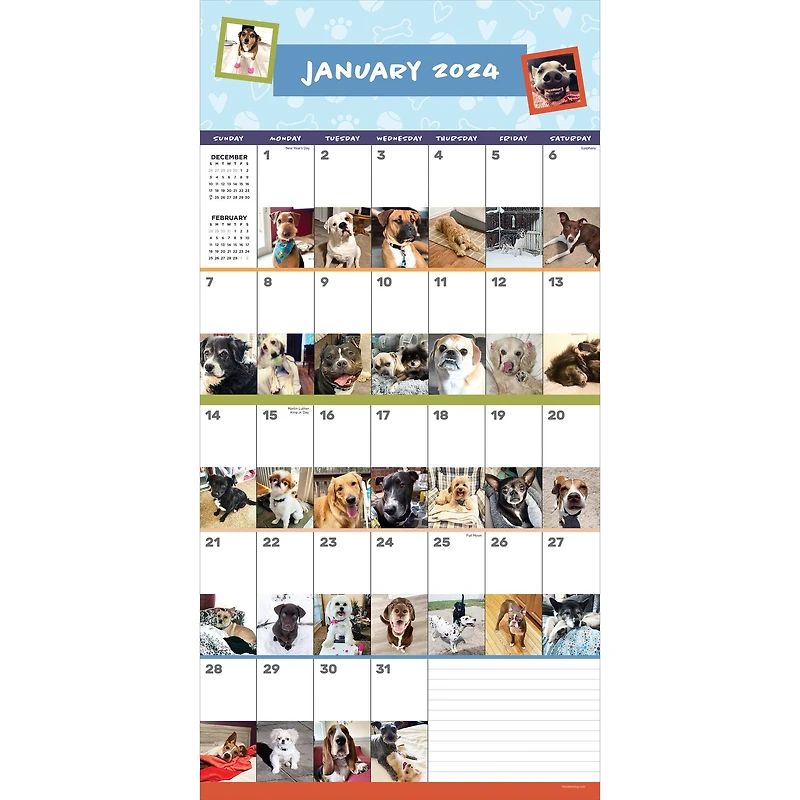 TF Publishing 2024 Dog-A-Day Wall Calendar