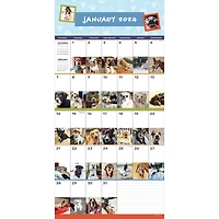 TF Publishing 2024 Dog-A-Day Wall Calendar