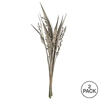Dried White Wash Bahia Spears Bunch with Seeds, 2ct.