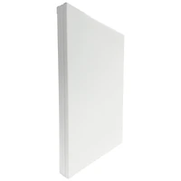 3 Pack 18" x 24" Super Value Canvas by Artist's Loft®