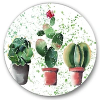 Designart - Three Cacti In Clay Pots