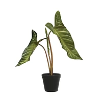 Hello Honey® 20" Round Faux Elephant Ear Plant in Plastic Pot