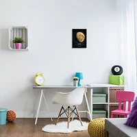 Stupell Industries Earth's Moon Celestial Facts Outer Space Infographic in Black Frame Wall Art