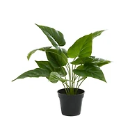 Green Plastic Traditional Artificial Foliage, 17" x 21" x 17"