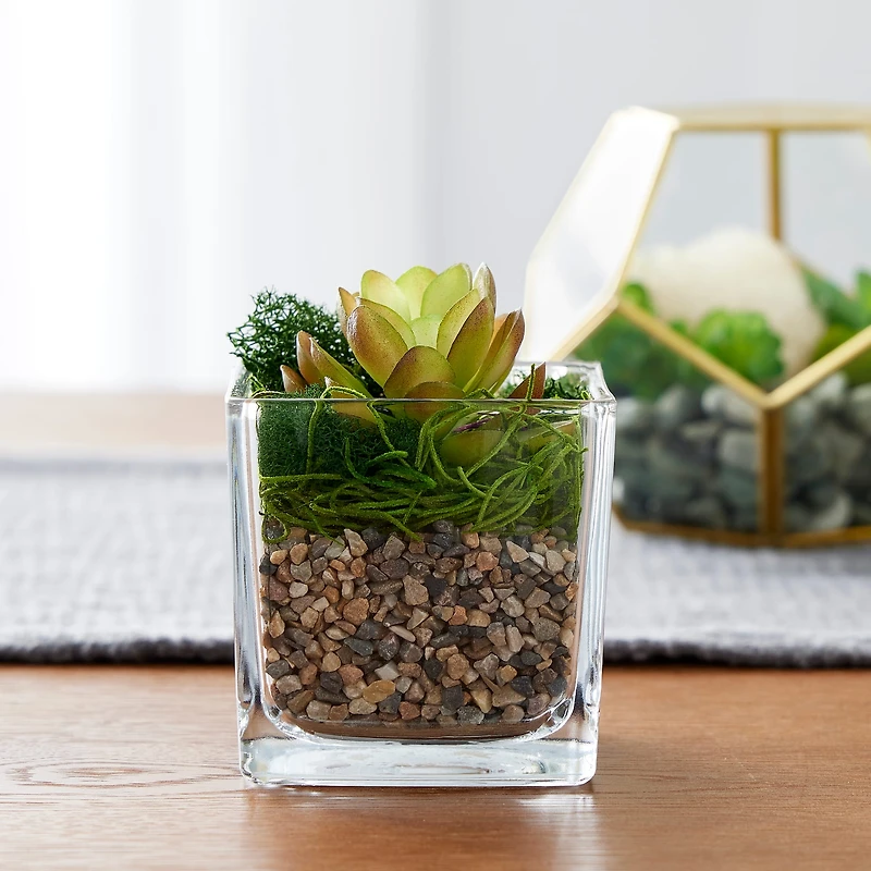 16 Pack: Natural Baby Rocks by Ashland®