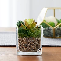 16 Pack: Natural Baby Rocks by Ashland®