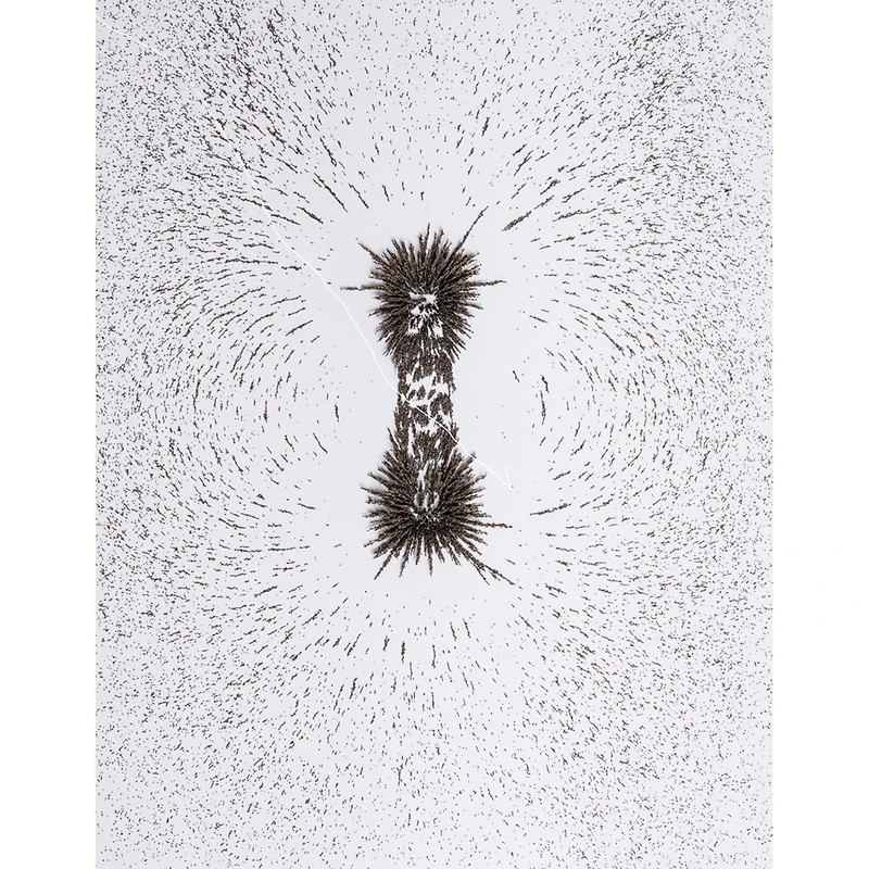 Dowling Magnets® Iron Filings, 3 Jars of 12oz.