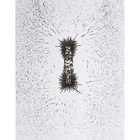 Dowling Magnets® Iron Filings, 3 Jars of 12oz.