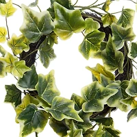 11" Mini Ivy Wreath by Ashland®