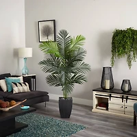 5.5ft. Paradise Artificial Palm Tree in Black Planter