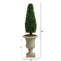 4ft. Boxwood Tower Topiary Tree in Sand Finished Urn