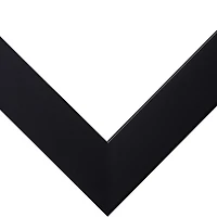 Craig Frames 4 Pack Essentials Modern Black Picture Frame with Mat