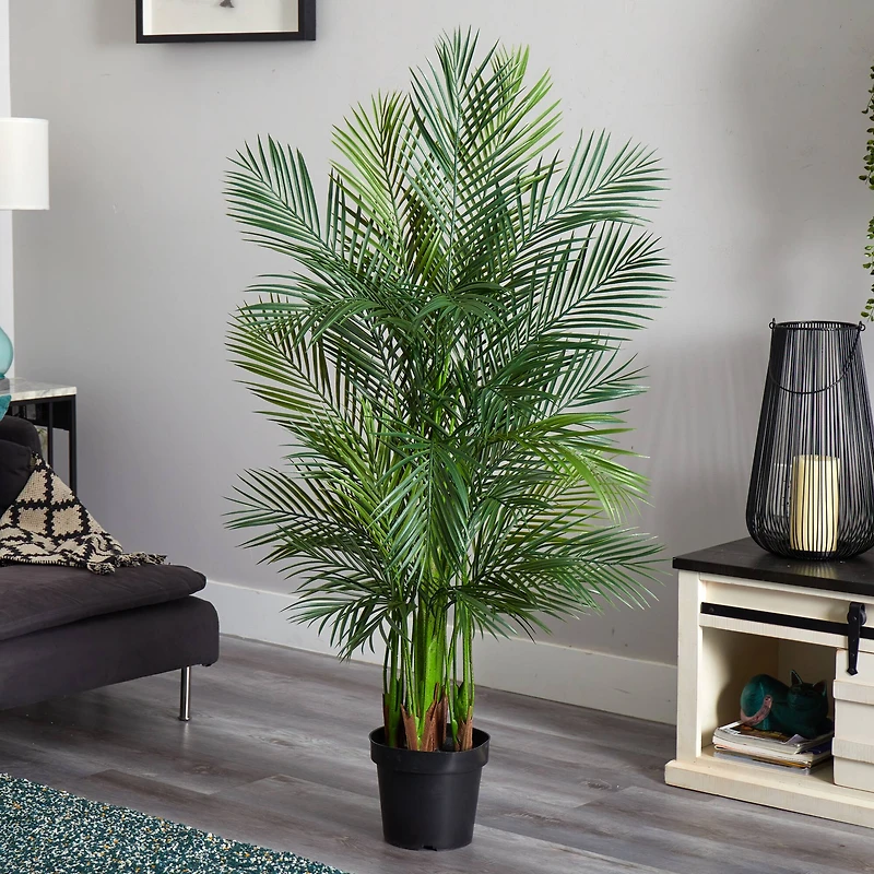 5.5ft. Potted Areca Palm Tree 