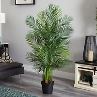 5.5ft. Potted Areca Palm Tree 