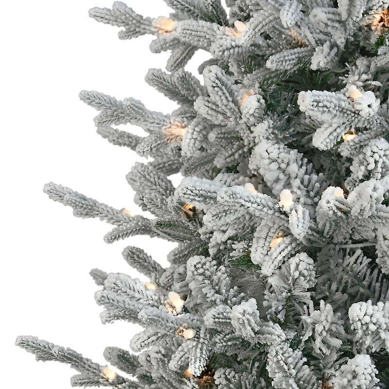 7.5ft. Pre-Lit Boulderwood Spruce Artificial Christmas Tree, Clear Lights