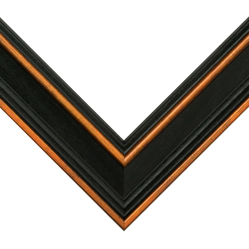 Frame USA Olympic Brown Single Image Picture Frame