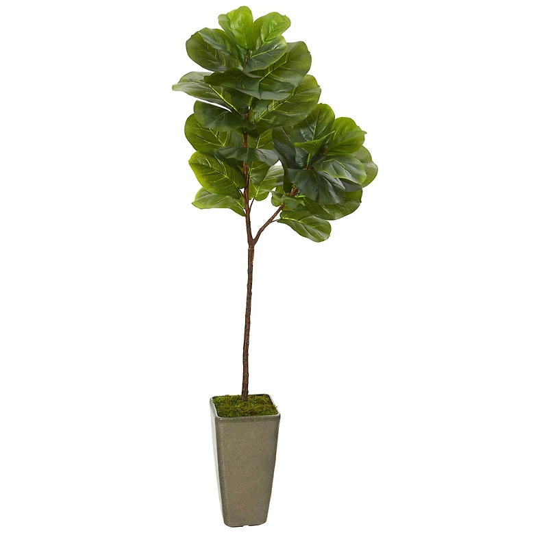 5.5ft. Fiddle Leaf Artificial Tree in Green Planter