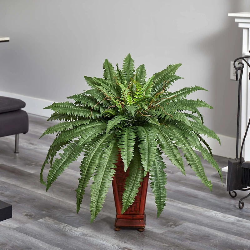 2.5ft. Boston Fern in Wood Vase