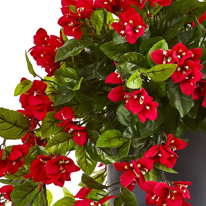2ft. Red Bougainvillea in Tower Planter