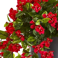 2ft. Red Bougainvillea in Tower Planter