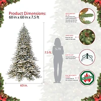 7.5ft. Pre-Lit Royal Majestic Douglas Fir Downswept Flocked Artificial Christmas Tree, Clear Lights