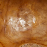 14" Brown Wood Natural Decorative Bowl