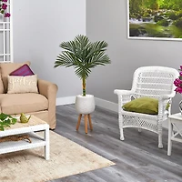 4.5ft. Golden Cane Artificial Palm Tree in White Planter with Stand