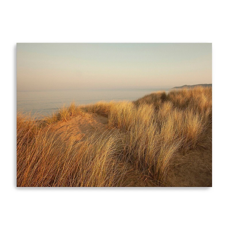 Dunes with Seagulls 7 Canvas Giclee
