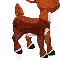 Lighted Rudolph & Clarice Outdoor Christmas Décor Set