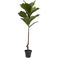 4ft. Potted Fiddle Leaf Tree 