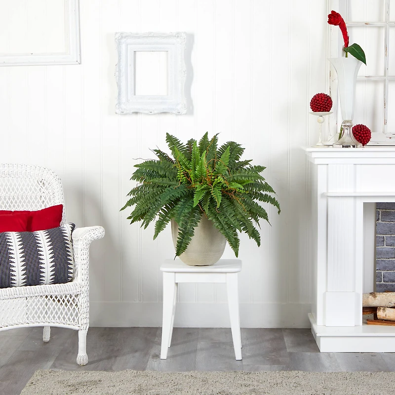 22" Boston Fern In Sandstone Planter