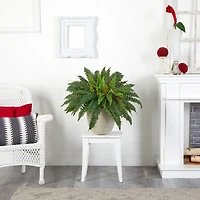 22" Boston Fern In Sandstone Planter