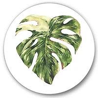Designart - Tropical Green Leaves In Summer Times III