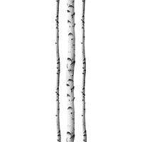 WallPops Silver Birches Wall Art Kit