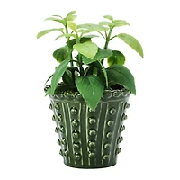 Hello Honey® Green Stoneware Hobnail Planter