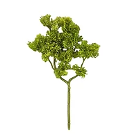 10.5" Moss Pick by Ashland®