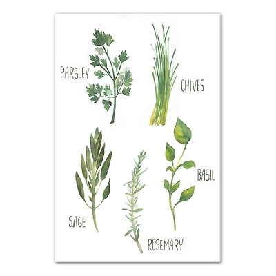 Watercolor Herb Chart Canvas Wall Art