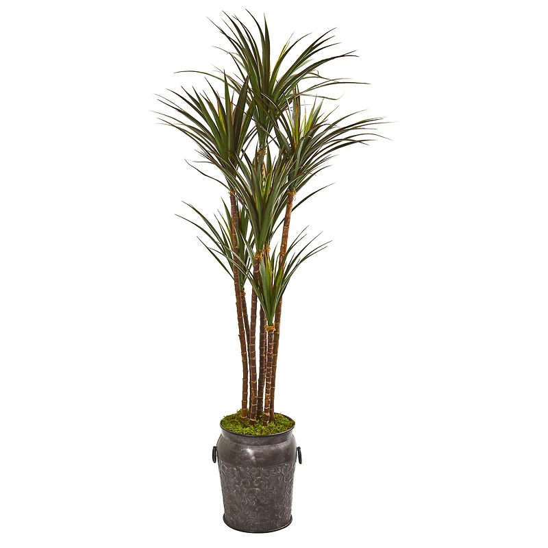 6ft. Yucca Tree in Decorative Planter