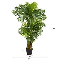 6ft. Potted Hawaii Palm