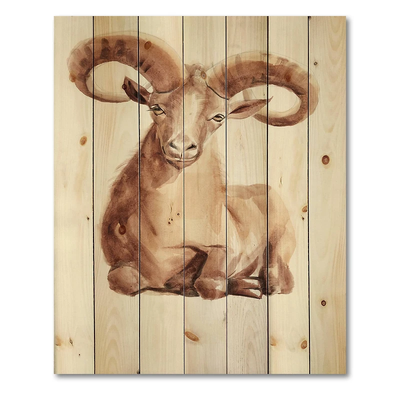 Designart - Portrait of Wild Ram With Mighty Horns II